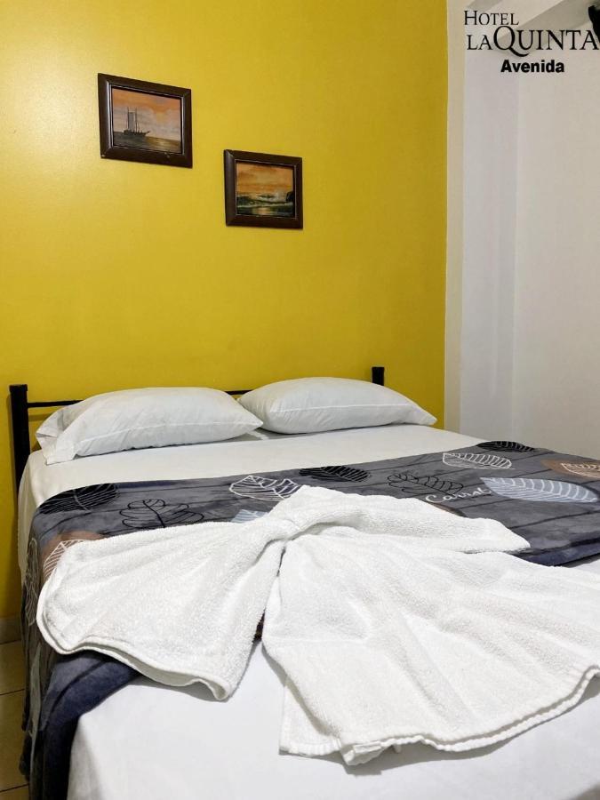 Hotel Quinta Avenida San Jose  Ngoại thất bức ảnh