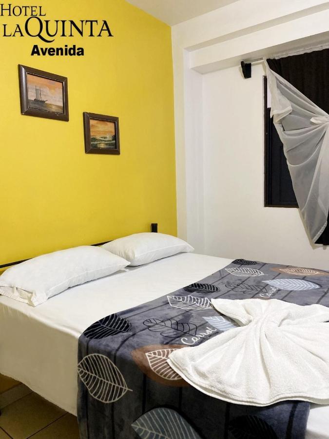 Hotel Quinta Avenida San Jose  Ngoại thất bức ảnh