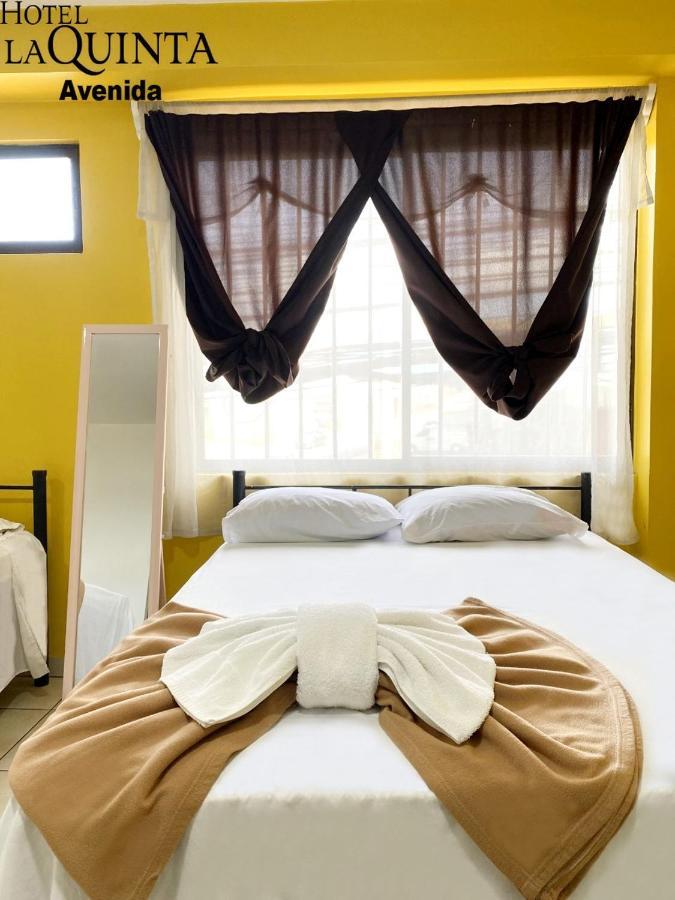 Hotel Quinta Avenida San Jose  Ngoại thất bức ảnh
