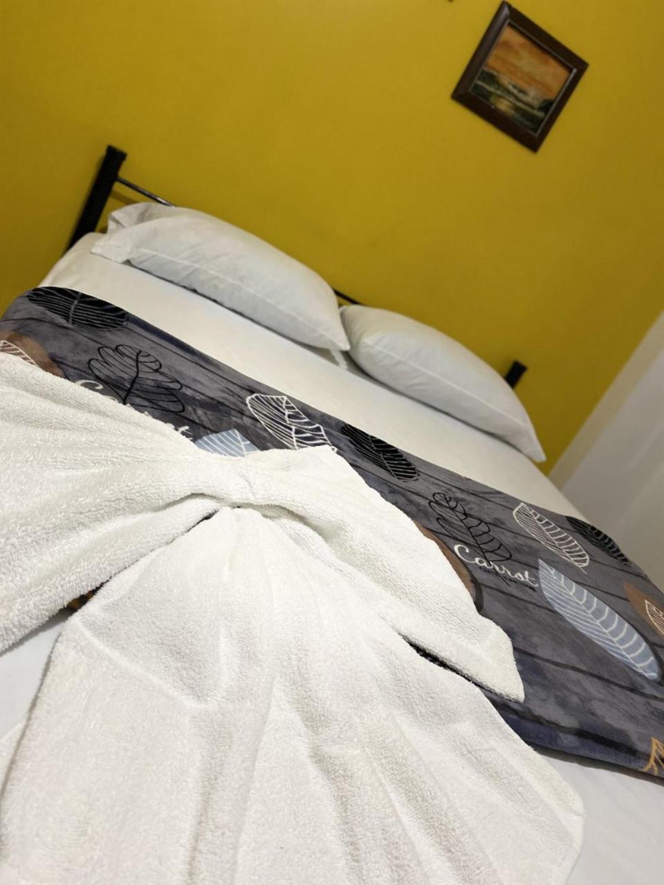Hotel Quinta Avenida San Jose  Ngoại thất bức ảnh