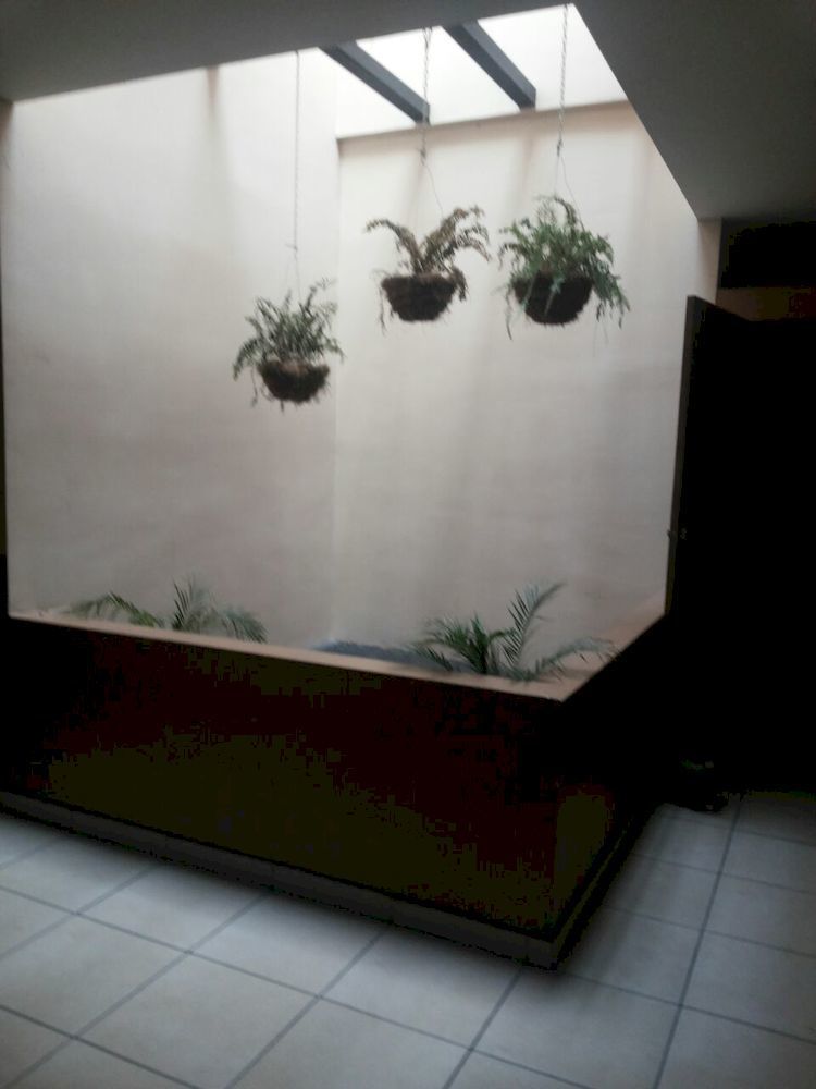 Hotel Quinta Avenida San Jose  Ngoại thất bức ảnh