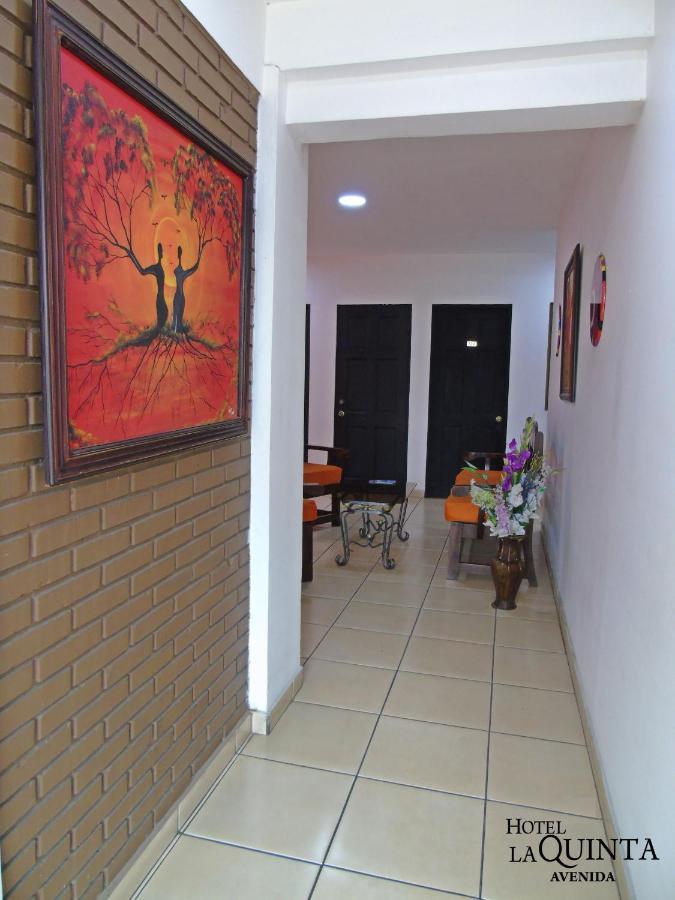 Hotel Quinta Avenida San Jose  Ngoại thất bức ảnh